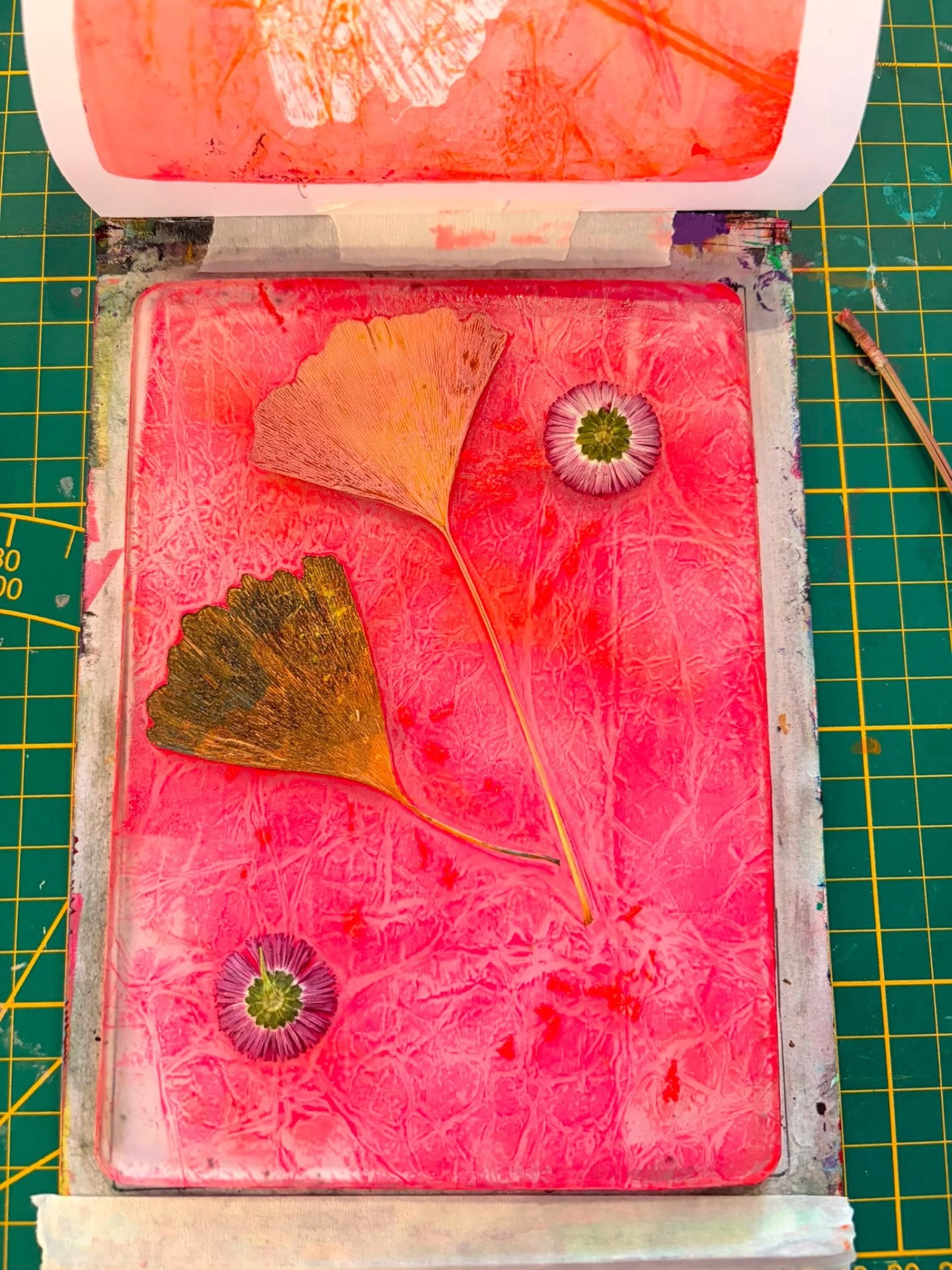 Botanical gelprint